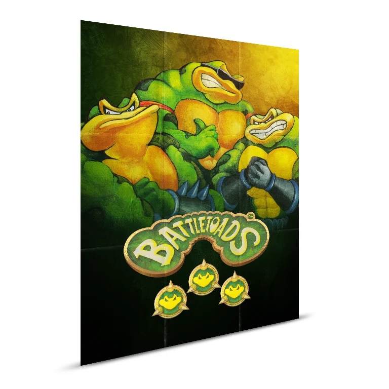 Battletoads - Legacy Cartridge Collection - Image 6