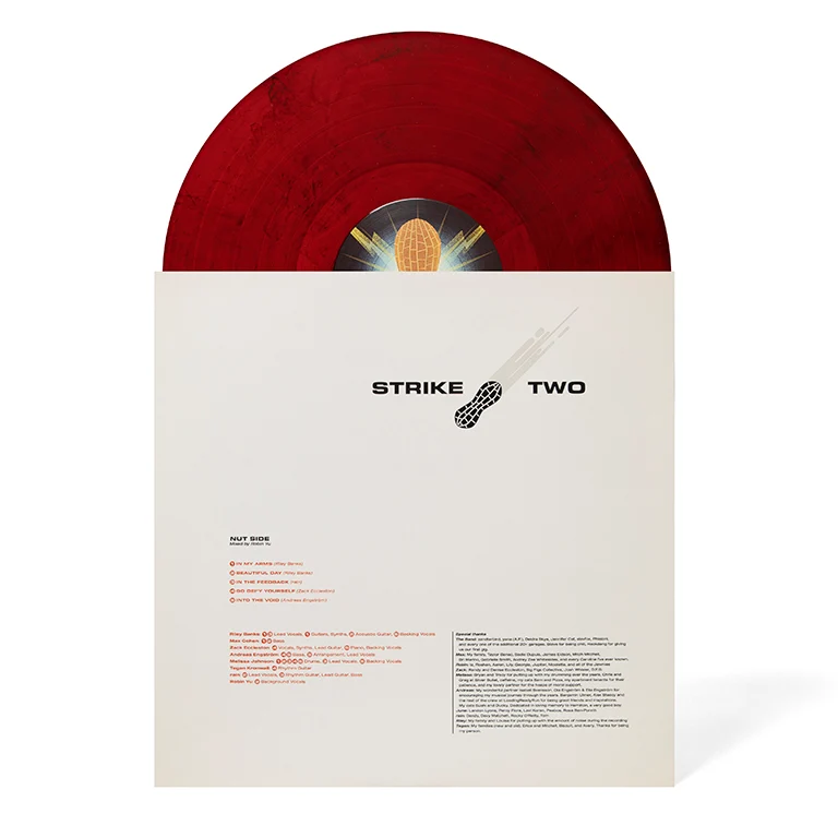 Blaseball: DISCIPLINE 2xLP Vinyl Soundtrack (Music by "the garages") - Image 15