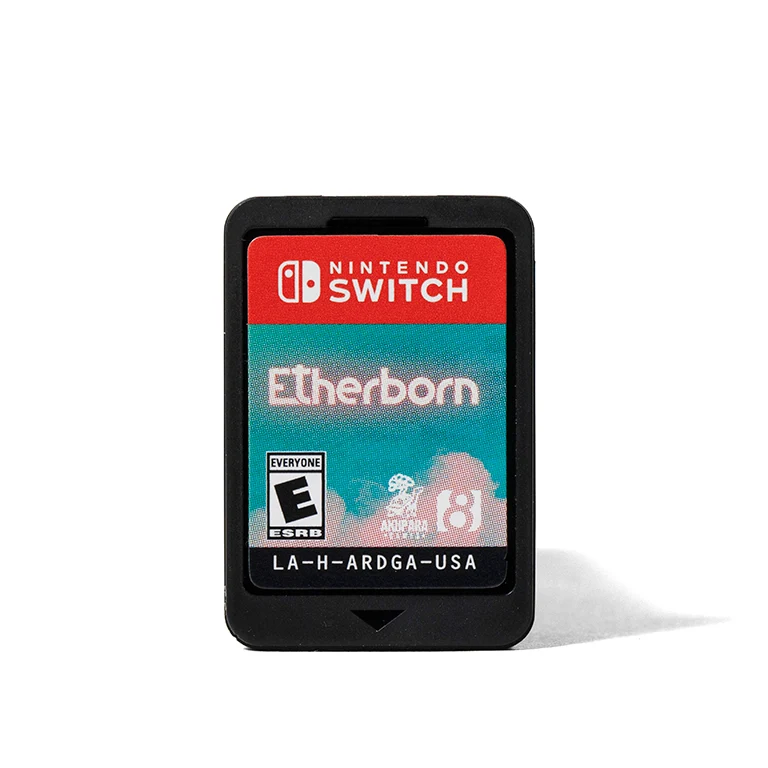 Etherborn (Nintendo Switch Physical Edition) - Image 11