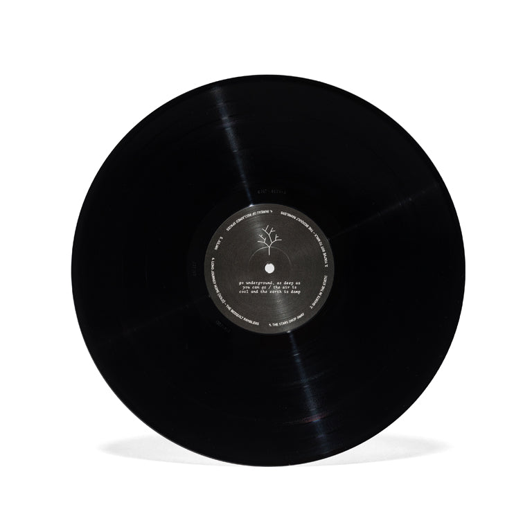 Kentucky Route Zero 2xLP Reissue - Image 11