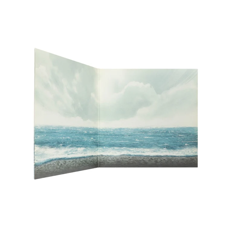 Swiss Army Man Collector's Edition Vinyl - Image 7