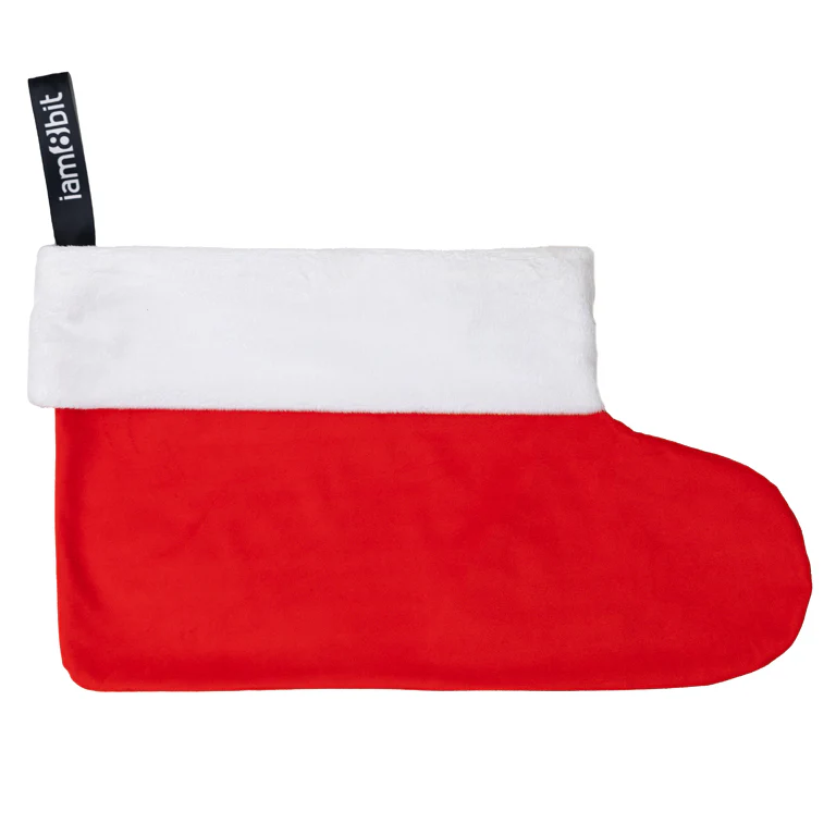 Vinyl Record Stocking (Red)