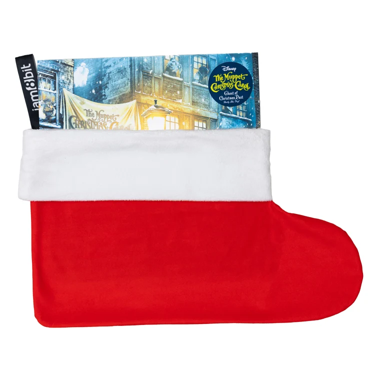 Vinyl Record Stocking (Red) - Image 2